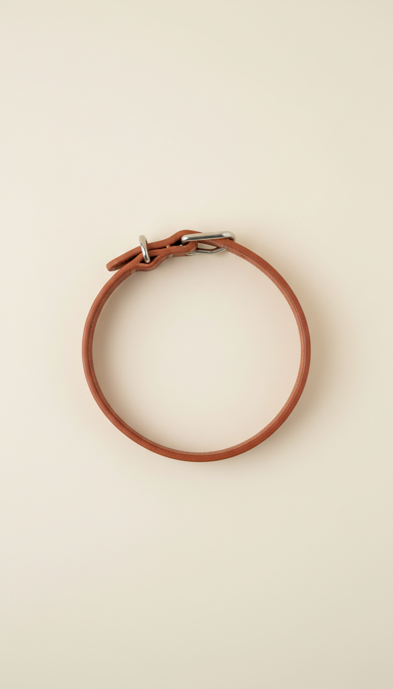 Terracotta leather dog collar